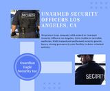  Guardian Eagle Security Inc 11500 W. Olympic Blvd. Suite 400. 