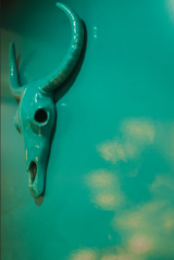 Alora Wellness & Spa, Eugene