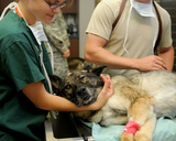 Poynette Veterinary Care, Poynette