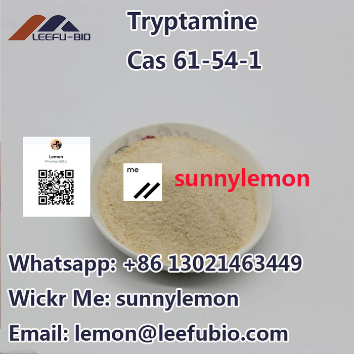  Profile Photos of Yellow powder cas 61-54-1 in stock safety shipping within 24 hours Taiyuan, Shanxi Province - Photo 2 of 2