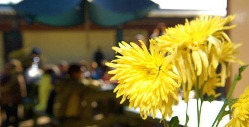  Profile Photos of Mudchute Kitchen Mudchute Park & Farm, Pier Street Isle of Dogs - Photo 2 of 4