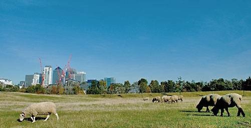  Profile Photos of Mudchute Kitchen Mudchute Park & Farm, Pier Street Isle of Dogs - Photo 3 of 4