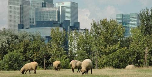  Profile Photos of Mudchute Kitchen Mudchute Park & Farm, Pier Street Isle of Dogs - Photo 4 of 4