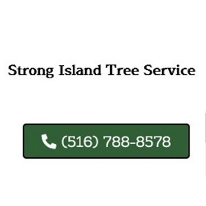  Profile Photos of TREE CARE & MAINTENANCE PROVIDING TREE REMOVAL on Long Island! 160 Van Brunt St, Brooklyn, NY 11231 - Photo 1 of 1