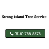 TREE CARE & MAINTENANCE PROVIDING TREE REMOVAL on Long Island!, Brooklyn