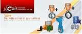 Cair Euromatic Automation Pvt Ltd, Ahmedabad