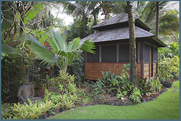  Profile Photos of The Evolving Practitioner 12-7245 Moana Kai Pali St Pahoa, HI 96778-8059 - Photo 5 of 5