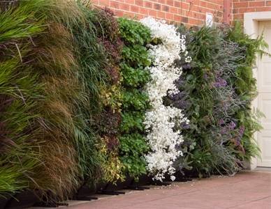  Profile Photos of Permascape Design Solutions Available on request - Photo 5 of 23
