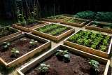  Permascape Design Solutions Available on request 