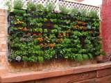  Permascape Design Solutions Available on request 