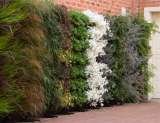 Permascape Design Solutions, Wilton