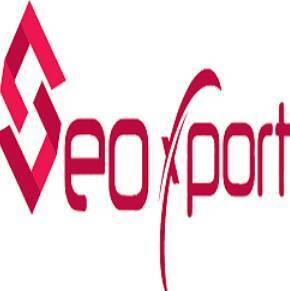  Profile Photos of SEOXPORT Shop No. 10,Near B.J Studio, Mahesh Nagar, Ambala Cantt, Haryana 133005 - Photo 1 of 1