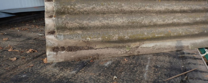  Profile Photos of NO1 Asbestos Removal Melbourne 3/336 Russell Street - Photo 10 of 20