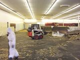  NO1 Asbestos Removal Melbourne 3/336 Russell Street 