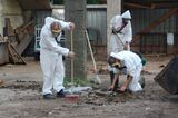 NO1 Asbestos Removal Melbourne, Melbourne