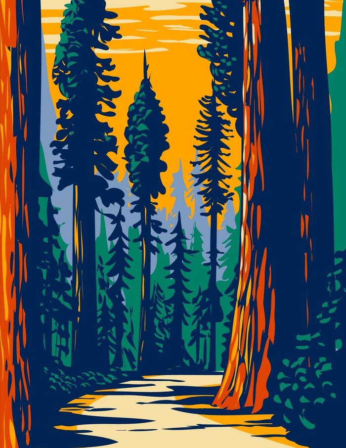  Profile Photos of Redwood Trees Shaw Green, Dawber's Ln - Photo 2 of 5