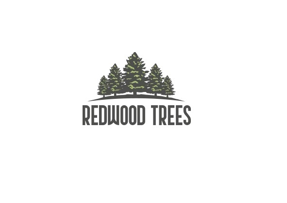  Profile Photos of Redwood Trees Shaw Green, Dawber's Ln - Photo 3 of 5