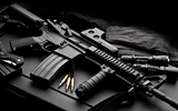 TacticCAL Gun Store, Sunnyvale