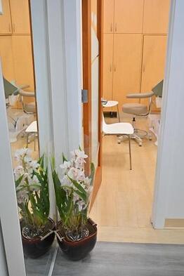  Profile Photos of Well Being Dentistry 3993 Stevens Creek Blvd - Photo 2 of 3