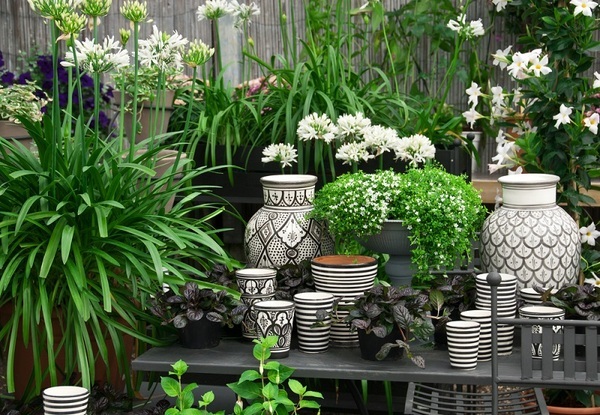  Profile Photos of Handy Gardeners Ltd 53A Bollo Lane - Photo 2 of 6