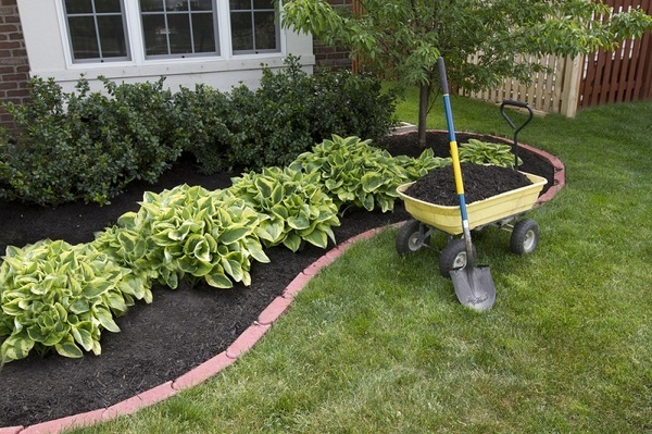  Profile Photos of Handy Gardeners Ltd 53A Bollo Lane - Photo 3 of 6