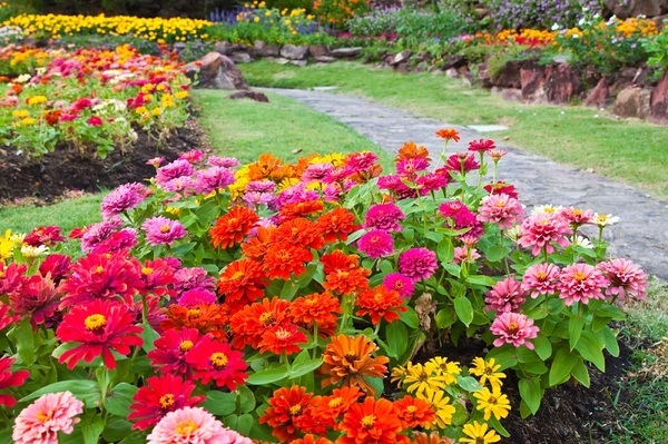  Profile Photos of Handy Gardeners Ltd 53A Bollo Lane - Photo 5 of 6