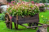  Handy Gardeners Ltd 53A Bollo Lane 