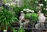  Handy Gardeners Ltd 53A Bollo Lane 