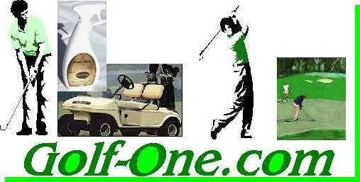  Golf - One for all Golfers of Diamond F.J.A. INC. 6635 W. HAPPY VALLEY RD A104 - Photo 3 of 10