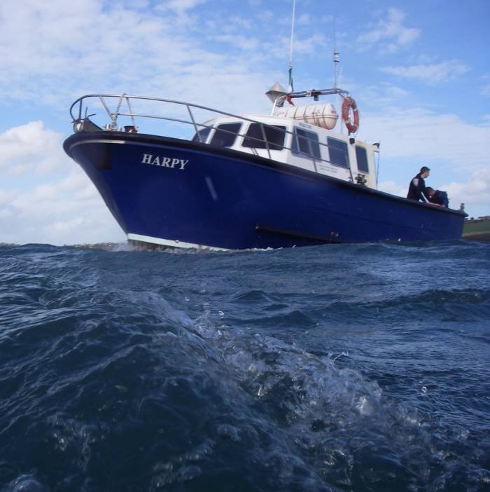  Profile Photos of Kinsale Deep Sea Charters The Ramparts - Photo 2 of 5