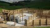  AgOptions Ltd PO Box 992 