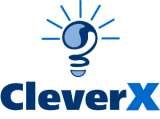 CleverX Blue Ocean Business Incubators, Wentworthville