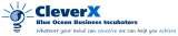CleverX Blue Ocean Business Incubators, Wentworthville