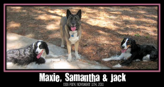  Profile Photos of While You're Away Serving the Jacksonville, FL Metro Area - Photo 6 of 12