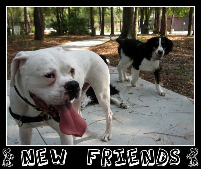  Profile Photos of While You're Away Serving the Jacksonville, FL Metro Area - Photo 12 of 12