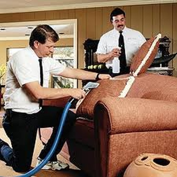 Profile Photos of Pro Cleaners Blackheath Park 1 Corner Green - Photo 4 of 4