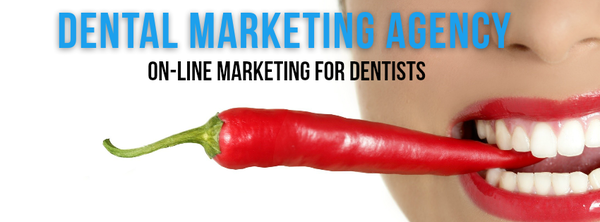  Profile Photos of Dental Marketing in The UK 20 Dufferin Avenue Bangor, Co Down - Photo 5 of 11