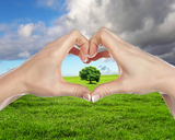 Cherry Hill Tree Care, Cherry Hill