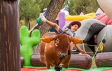 Profile Photos of Bingham Party Rentals