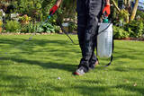 Spartan Pest Control, Spartan Pest Control, San Tan Valley