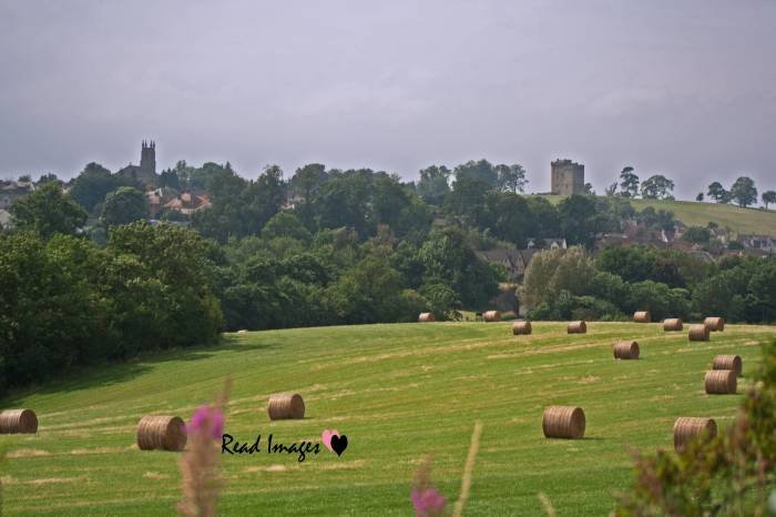  Profile Photos of Read Images Whiteyetts Place - Photo 34 of 44