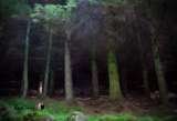 Read Images, Sauchie