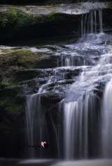 Read Images, Sauchie
