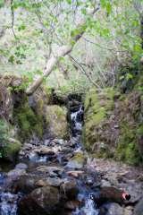 Read Images, Sauchie