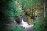 Read Images, Sauchie