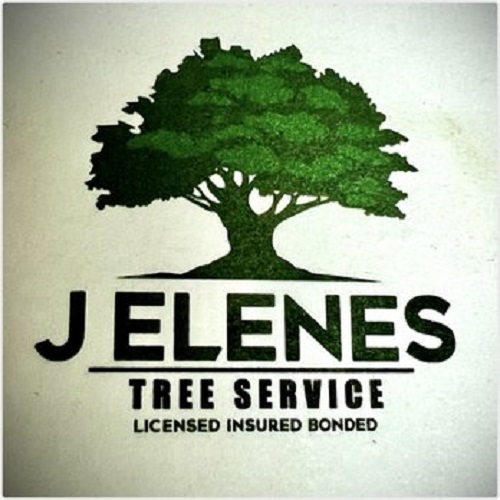  Profile Photos of J Elenes Tree Service 3014 E White Ave - Photo 1 of 1