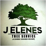 J Elenes Tree Service, Fresno