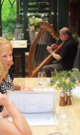 Brian Hoey Celtic Harpist, Sunderland