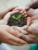  Flourish Supportive Living 2150 W. 29th Avenue Suite 520 