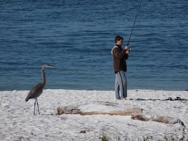  Pensacola Beach views of Real Estate Counselors, Inc. 1003 N 12th Ave - Photo 7 of 11